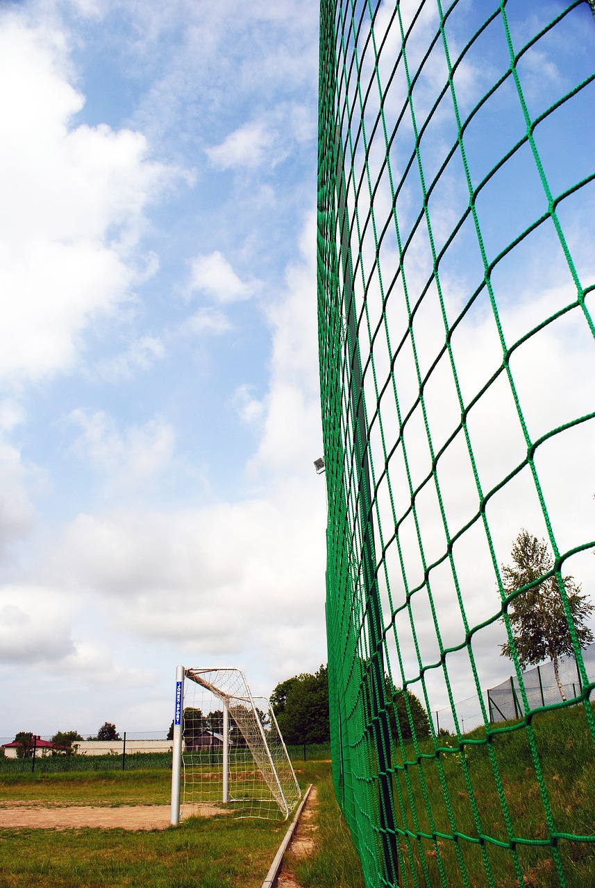 球员因伤病 球员因伤病