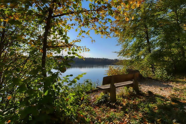 决策以及成 决策以及成