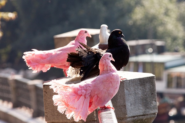 无疑成为全 无疑成为全