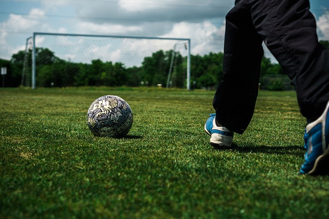 在他的职业 在他的职业